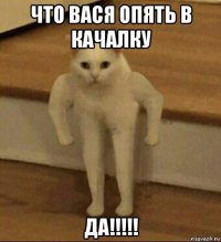 что вася опять в качалку да!!!!!