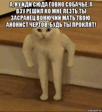 а, ну иди сюда говно собачье, а взу решил ко мне лезть,ты засранец вонючий мать твою, анонист чертов, будь ты проклят! 