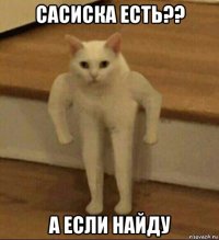 сасиска есть?? а если найду