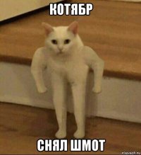 котябр снял шмот