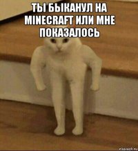 ты быканул на minecraft или мне показалось 