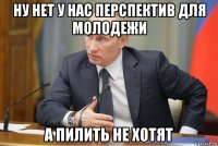 ну нет у нас перспектив для молодежи а пилить не хотят