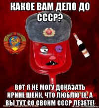 какое вам дело до ссср? вот я не могу доказать ирине шейк, что люблю ее, а вы тут со своим ссср лезете!