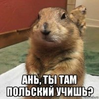  ань, ты там польский учишь?