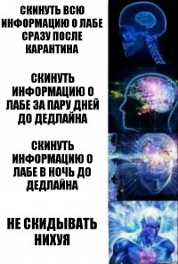 Скинуть всю информацию о лабе сразу после карантина Скинуть информацию о лабе за пару дней до дедлайна Скинуть информацию о лабе в ночь до дедлайна Не скидывать нихуя