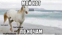 мой кот по ночам