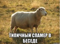  типичный спамер в беседе