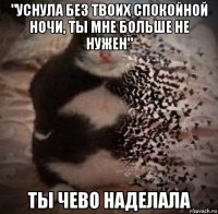 "уснула без твоих спокойной ночи, ты мне больше не нужен" ты чево наделала