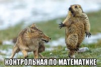  контрольная по математике