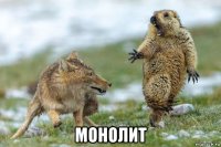  монолит