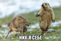  них*я себе