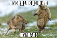 я увидел оценки в журнале