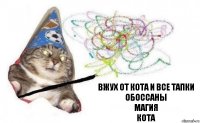 вжух от кота и все тапки обоссаны
магия
кота