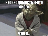 необходимость фото сисек чую я...