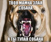 твоя мамка злая собака а ты тупая собака