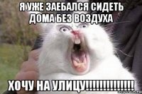 я уже заебался сидеть дома без воздуха хочу на улицу!!!!!!!!!!!!!!