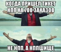 когда пришел тикет нпп на 700 заказов не нпп, а нппшище