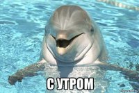  с утром