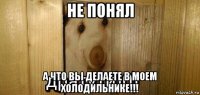 не понял а что вы делаете в моем холодильнике!!!