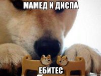 мамед и диспа ебитес