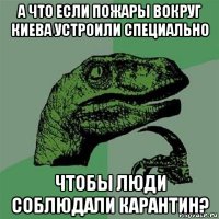 а что если пожары вокруг киева устроили специально чтобы люди соблюдали карантин?