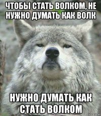 чтобы стать волком, не нужно думать как волк нужно думать как стать волком