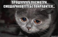 прошуууууу посмотри смешариков!!!тебе понравится... 