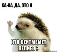  кто сеитмемет велиев ?