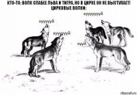 Кто-то: волк слабее льва и тигра, но в цирке он не выступает! Цирковые волки: