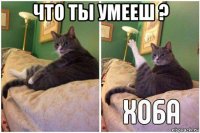 что ты умееш ? 