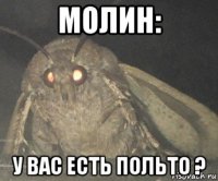 молин: у вас есть польто ?