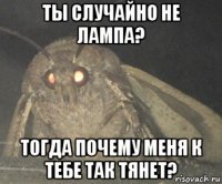 ты случайно не лампа? тогда почему меня к тебе так тянет?