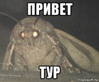 привет тур