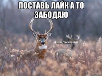 поставь лайк а то забодаю 