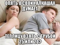 опять о своих алкашах думает теплицу взять с трубой 25 или 20?