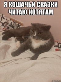 я кошачьи сказки читаю котятам 