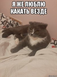 я же люблю какать везде 