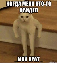 когда меня кто-то обидел _мой брат_