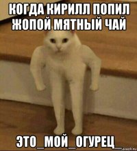 когда кирилл попил жопой мятный чай это_мой_огурец_