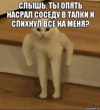 слышь, ты опять насрал соседу в тапки и спихнул все на меня? 