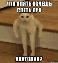 что опять хочешь спеть про анатолия?