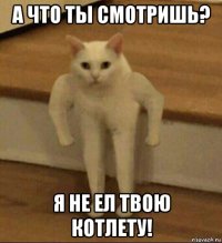 а что ты смотришь? я не ел твою котлету!