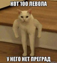 кот 100 левола у него нет преград