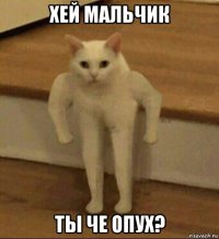 хей мальчик ты че опух?