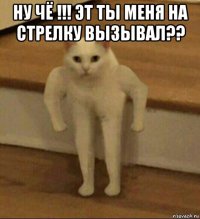 ну чё !!! эт ты меня на стрелку вызывал?? 