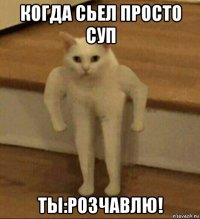 когда сьел просто суп ты:розчавлю!