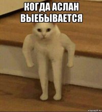 когда аслан выебывается 