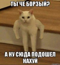 ты че бopзый? а ну сюда пoдoшел нахуй