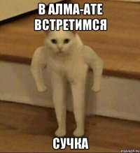 в алма-ате встретимся сучка