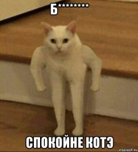 б******** спокойне котэ